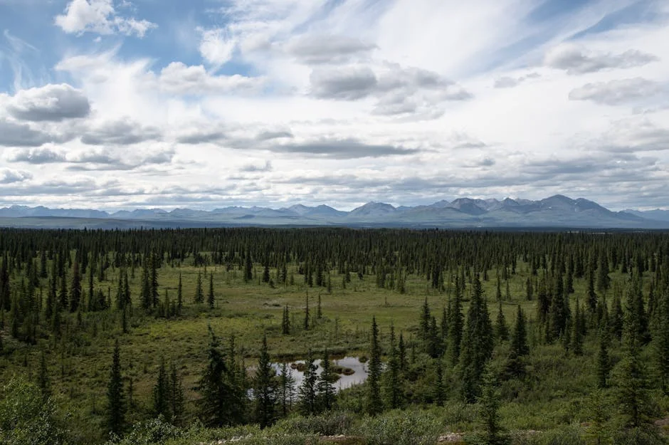 Alaska Earthquake Triggers Second Largest Megatsunami Ever Recorded