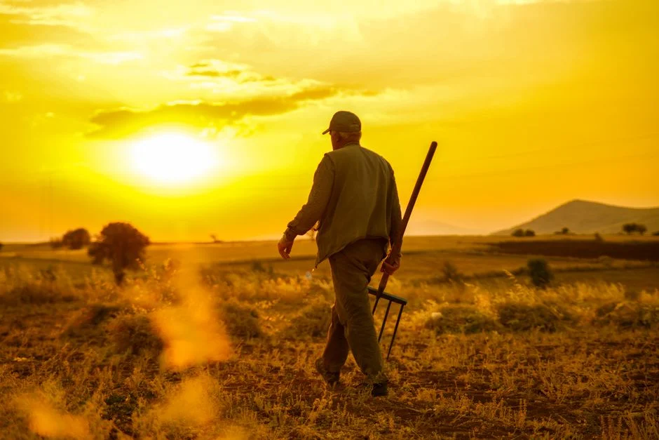 Andries Mahlase Warns Farming Insurance Gaps Cost South Africa Billions — Environment Nature