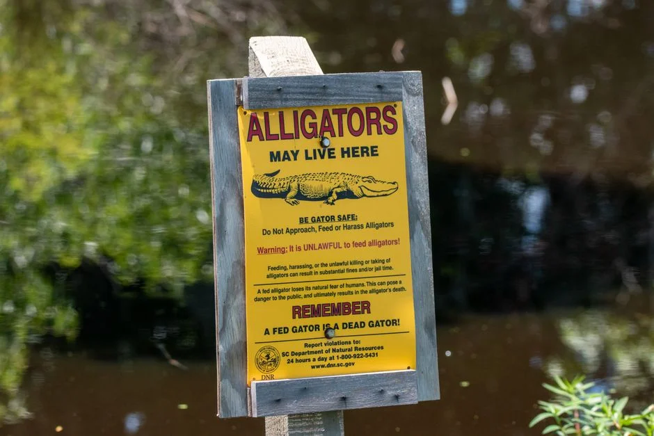 Ben Rich Warns Dangerous Heatwave to Grip Eastern United States This Week — Agriculture Food