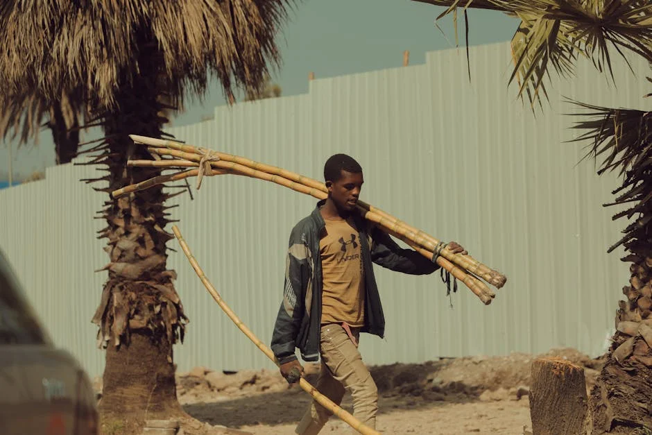 Born on the Road: Sudan's Refugee Crisis Deepens as Foreign Funding Collapses