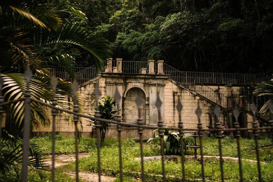 Brazilian Historian Paulo Rezzutti Exposes Why Portugal Never Forgave King John VI — Agriculture Food