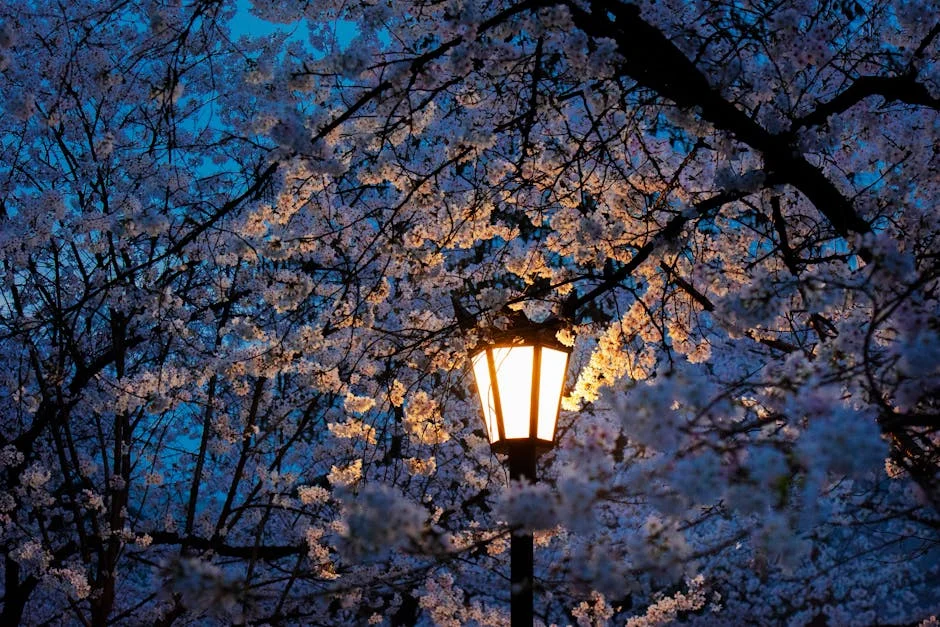 Bright Redefines Data Infrastructure With Lamppost Strategy