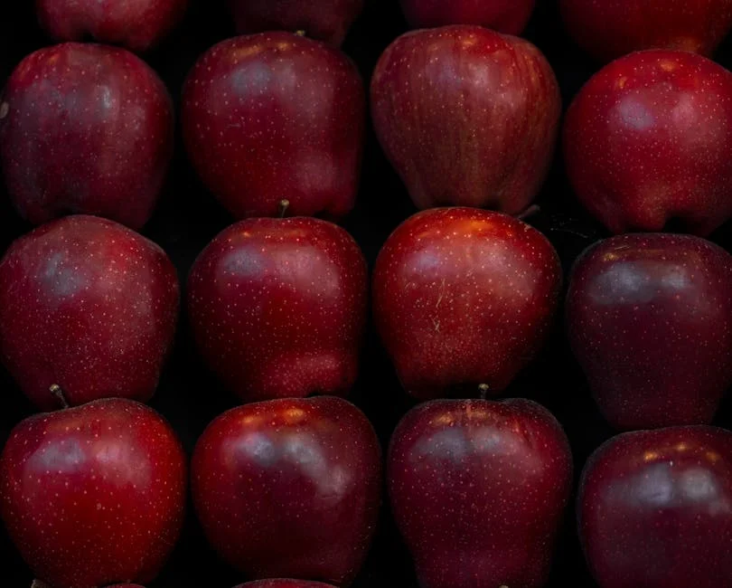 Busch Light Apple Returns With New Flavor Launch in 2024