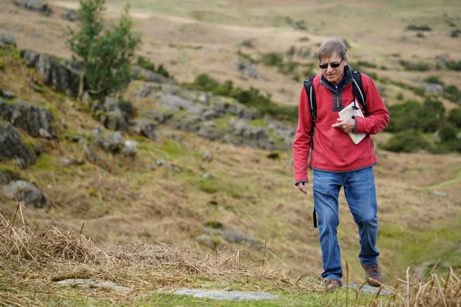 Campaigners Slam Plans to Cull Dartmoor Hill Ponies — Herd Population at Stake