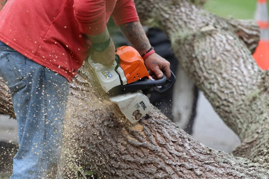 Cape Prepares for Severe Weather as Cut-Off Low Approaches This June — Culture Arts