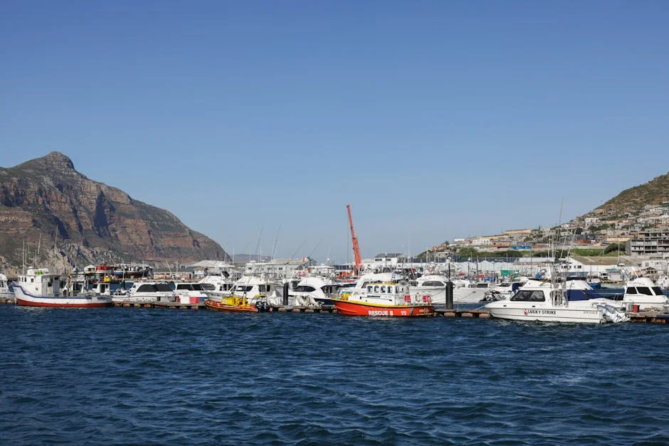 Cape Town City Council Slams Marathon Route Changes Amid Traffic Chaos