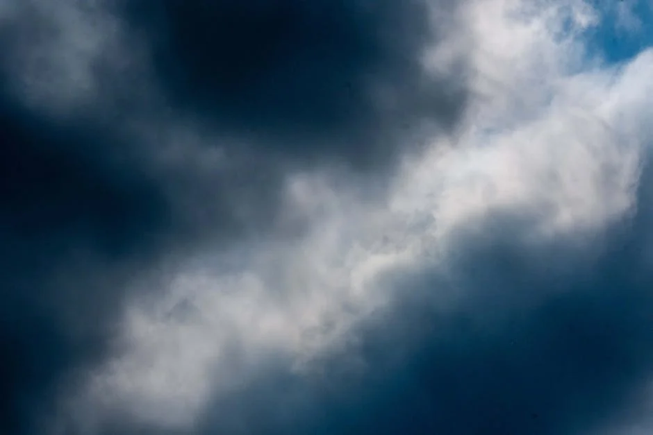 Charlotte Weather Warms as US Sees Record Heat — Economy Business