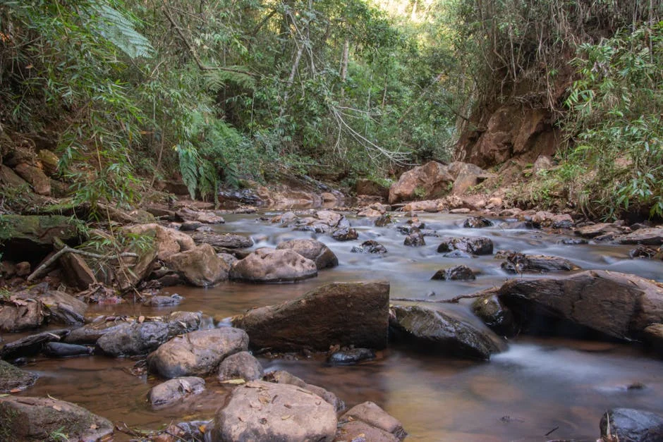 ECape MEC Pledges Drainage Overhaul for Mandela Bay After Flooding Crises — Sports