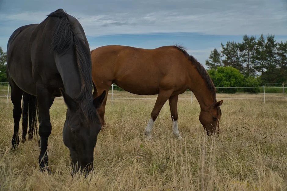 Experts Warn of Risks in Online Horse Urine Perfume Sales
