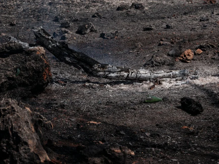 Fire at Gujarat Chemical Plant Injures 16 Workers — Emergency Response Underway