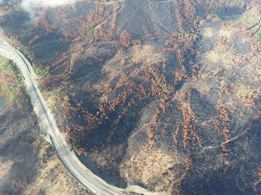 Fire Engulfs Caramulo Mountains, 130 Crews Deployed