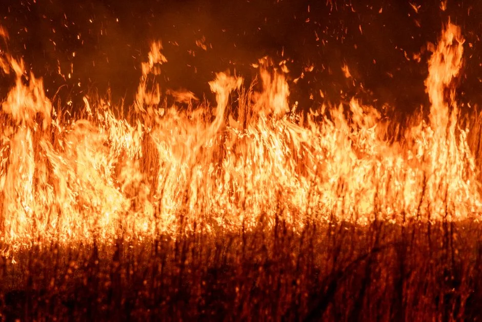 Fire Engulfs Dominican Republic Beach Resort — Dozens Evacuated — Technology Innovation