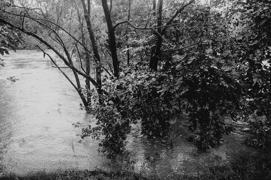 Floodwaters Surge in South Africa — Kouga Residents Ordered to Evacuate — Sports