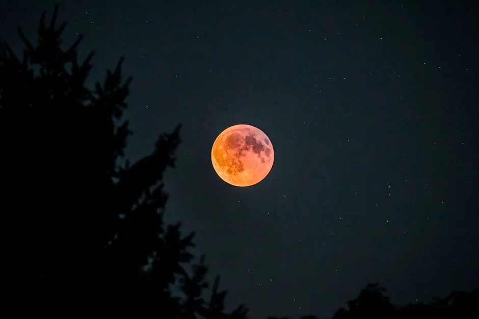 Full Strawberry Moon Dazzles Tonight — When and Where to Watch — Agriculture Food