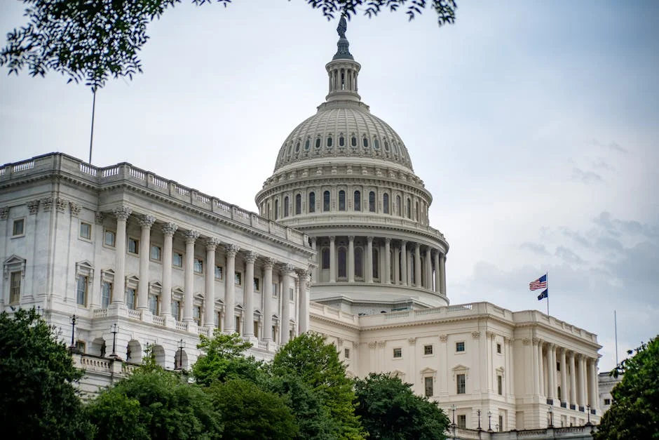 Gomes Dias Launches New Initiative in Washington D.C.