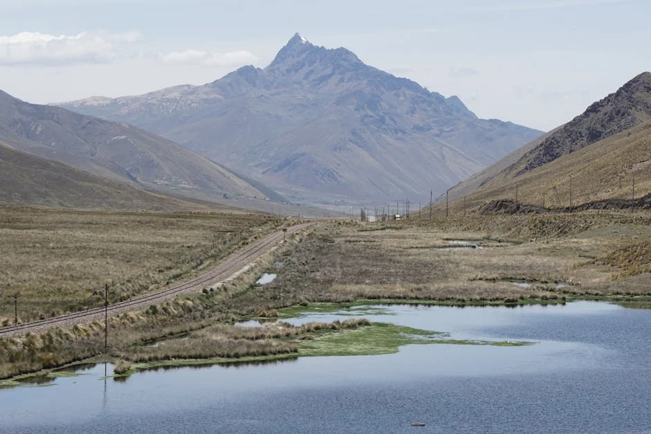 Hantavirus Outbreak in Andes Region Triggers US Health Alert