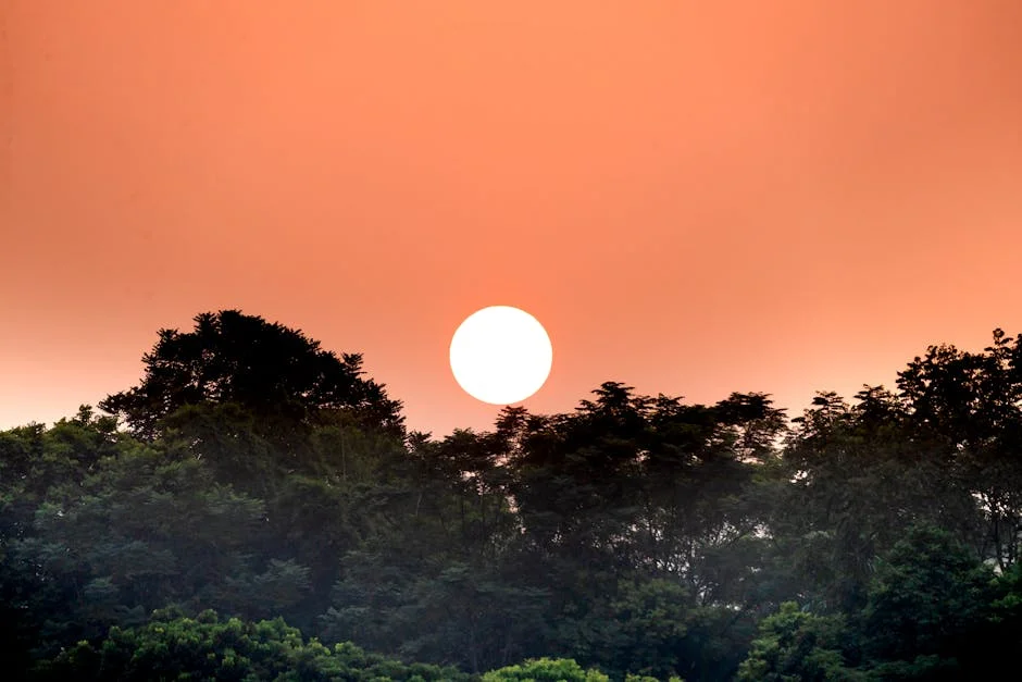Heatwaves Scorch Andhra Pradesh — 39 Regions Affected