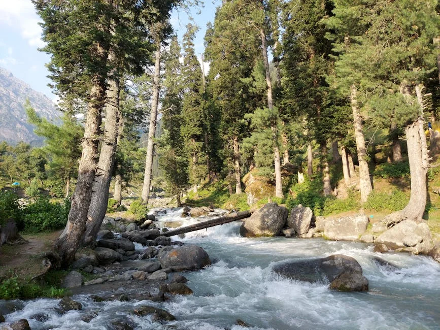 Jammu Issues Heatwave Alert for Five Districts — Temperatures Set to Soar