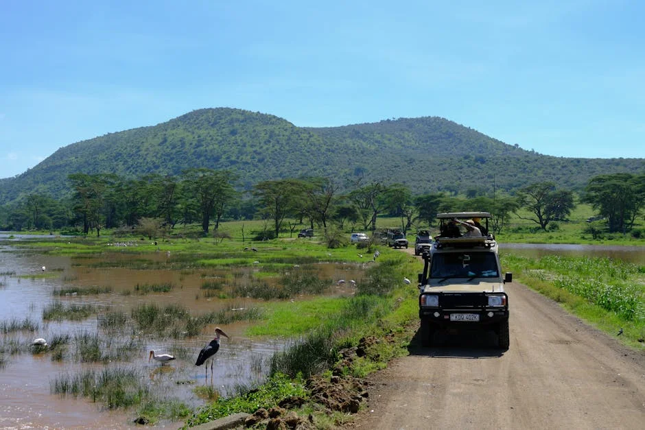 Kenya Court Halts US Plans for Ebola Quarantine Centre – What Happens Next?