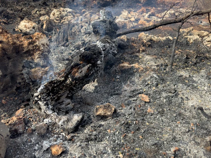 Kenya School Fire Claims Lives of 16 Pupils, Sparks Safety Concerns