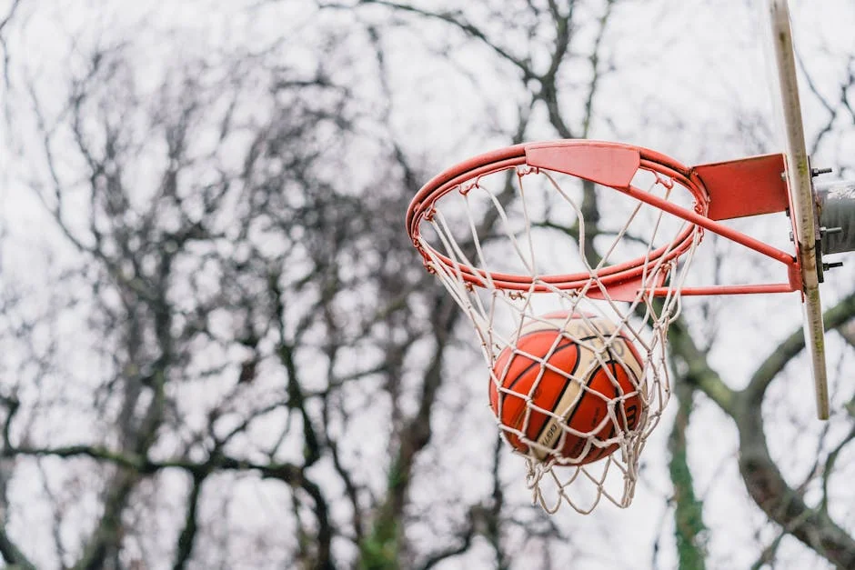Knicks Face 76ers: Key Factors That Will Decide the Playoff Series — Agriculture Food