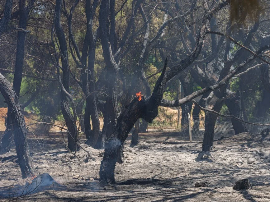 Lebanon Confirms 10 Dead in Israeli Strikes, Including Paramedics