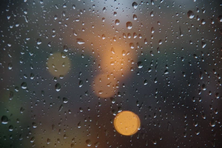 Ludhiana Faces Heavy Rainfall — Temperature Drops and Health Concerns Rise — Economy Business