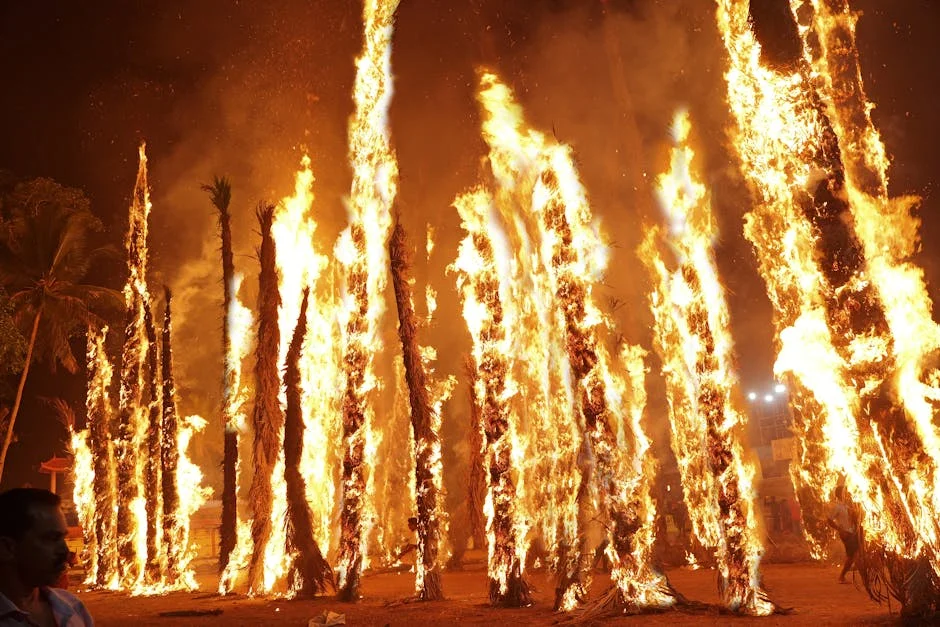 Mali Jihadists Burn Dozens of Vehicles to Enforce Eid Blockade — Agriculture Food