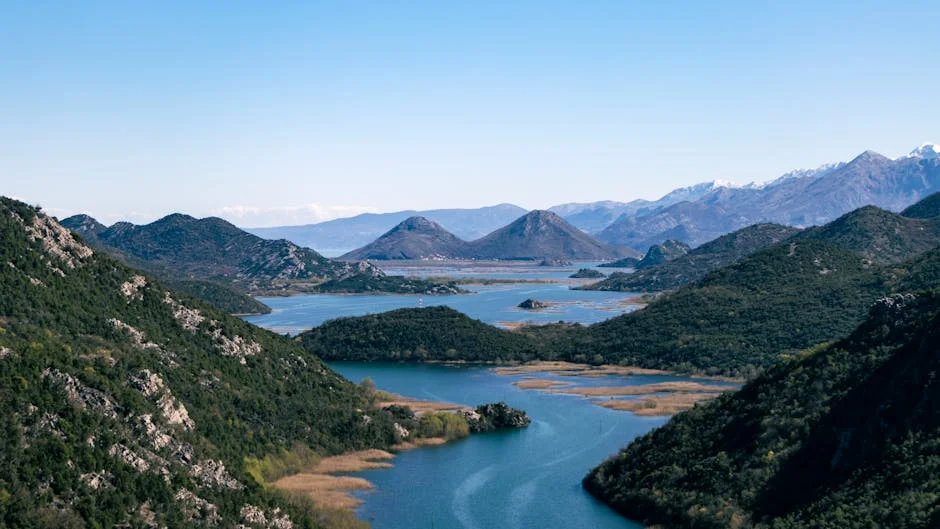 Montenegro Faces Criticism Over Unfulfilled Promises — What It Means — Economy Business