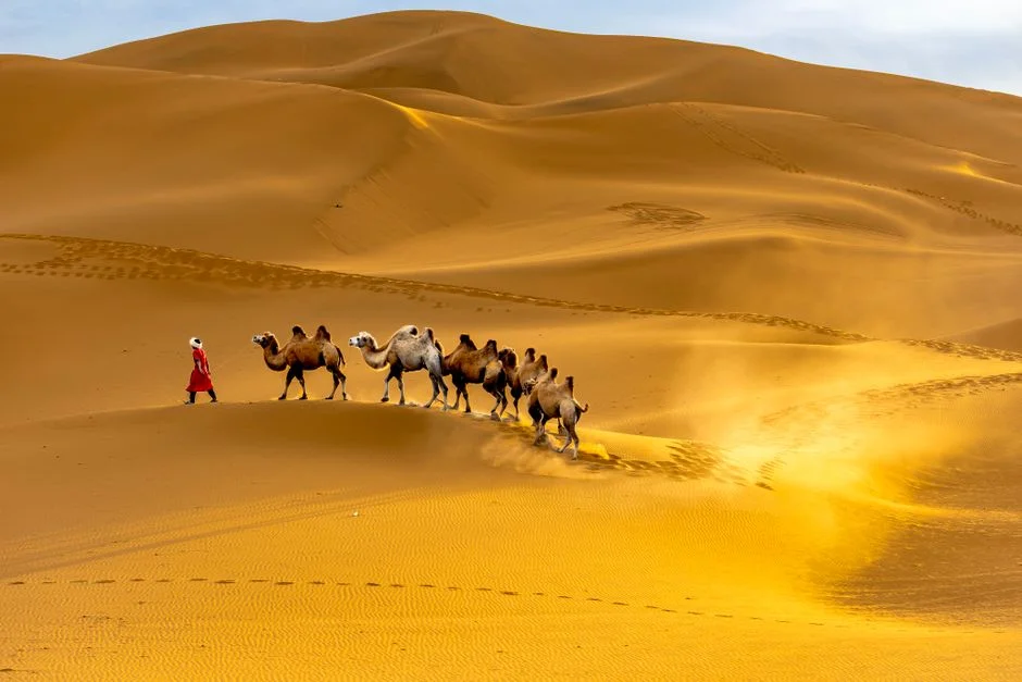 Morocco Promotes Tourism in Western Sahara Amid Control Concerns