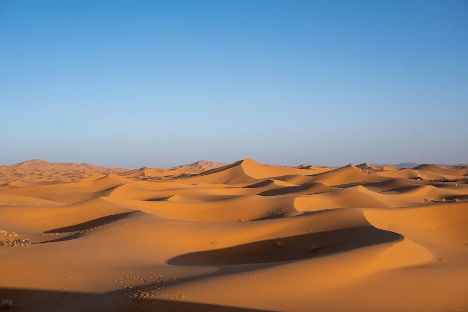 Morocco Surpasses South Africa as Africa's Leading Industrial Economy — Economy Business