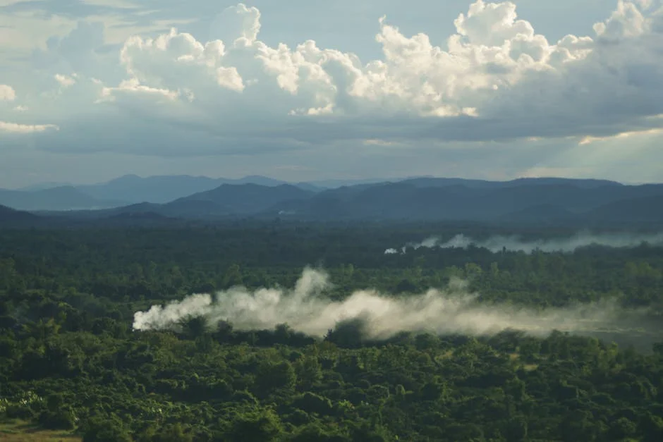 Myanmar Insurgents Blame Chinese Bombing — Death Toll Exceeds 50 in Village Blast — Agriculture Food