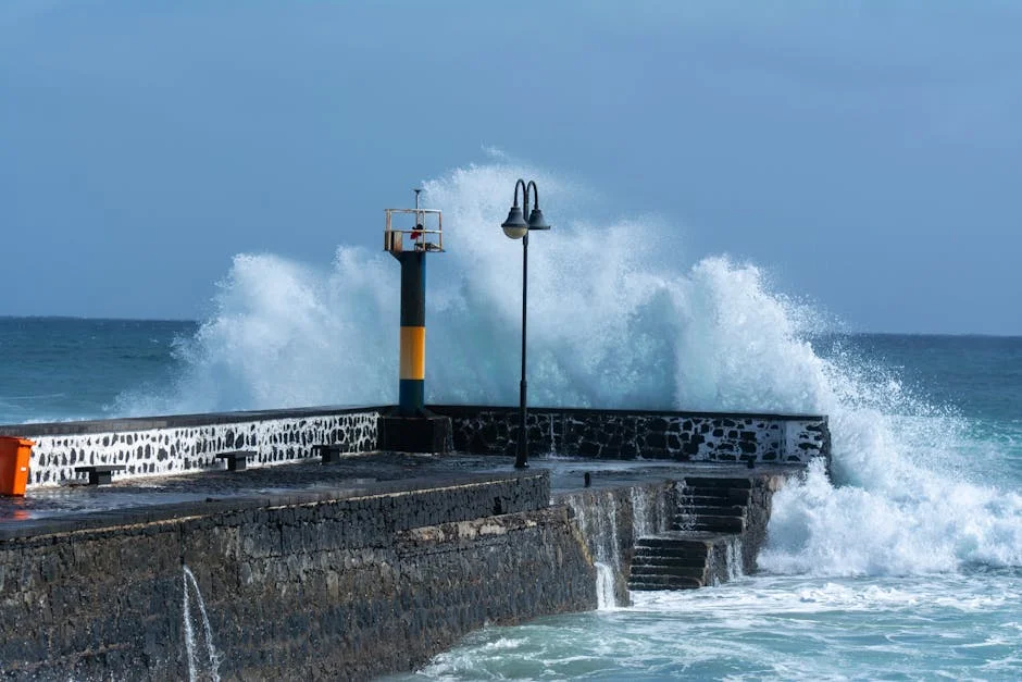 National Hurricane Center Releases Critical 2026 Season Forecast — Environment Nature