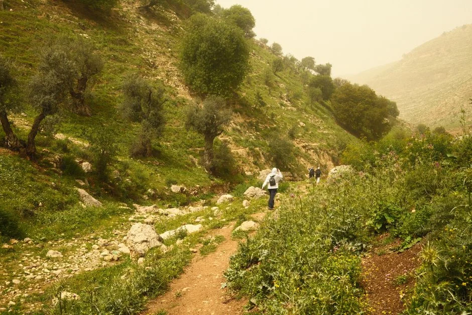 Netanyahu Claims Christian Villages in Lebanon Asked to Join Israel — Agriculture Food