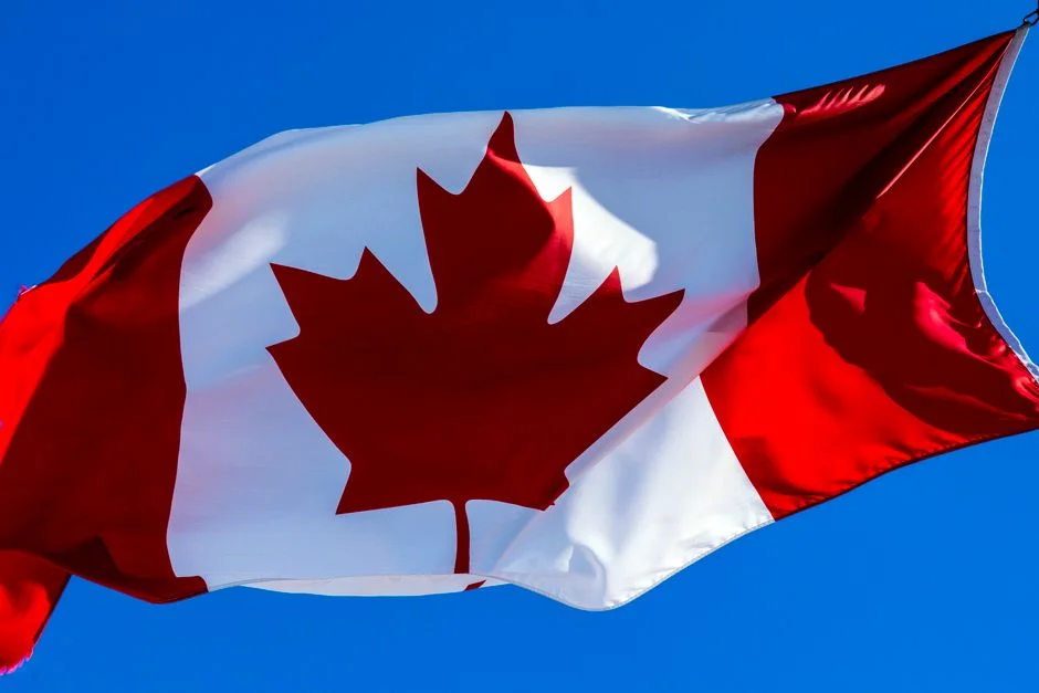 Netherlands Faces Canada in ODI Cricket Clash at King City Today — Culture Arts