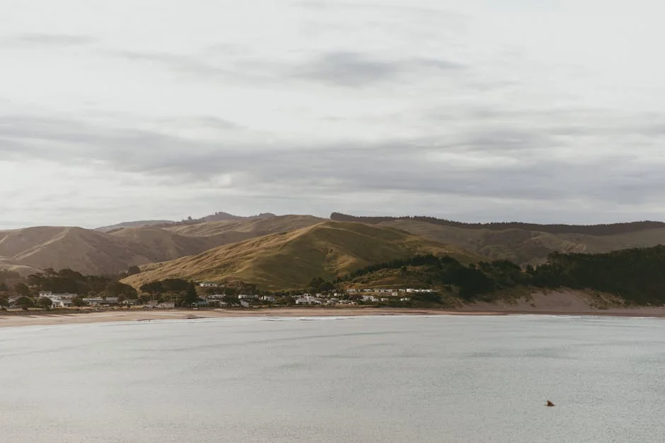 New Zealand Launches 1,000 Working Holiday Visas for Indians — What It Means