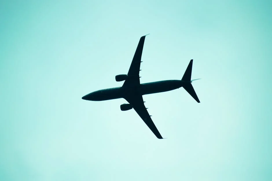 Nigeria Considers Flight Restrictions Amid Ebola Outbreak in Africa