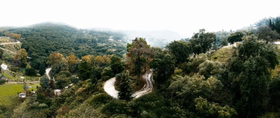 Orange Alert Issued for Nainital, Bageshwar as Monsoon Intensifies — Politics Governance