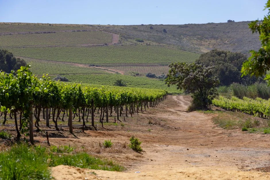 Ramaphosa Slams Farm Cash Report — Monday Hearing Looms
