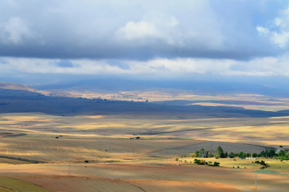 South Africa Faces Severe Rain and Wind Across Four Provinces