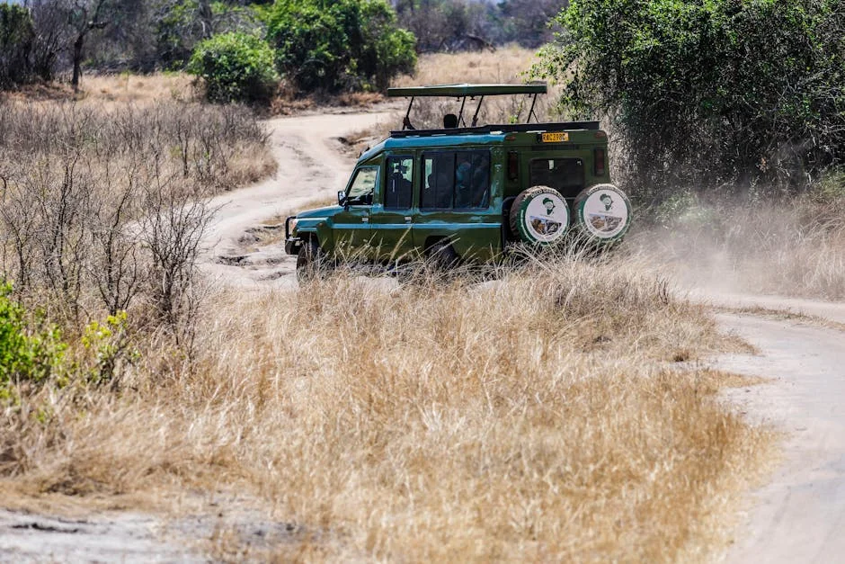 South Africa Forces Foreign Car Owners to Declare at Borders