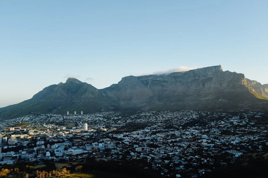 South Africa Freezes R8m in Assets Linked to Tembisa Hospital Corruption Scheme