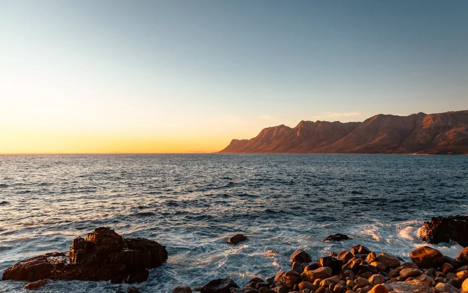 South Africa Launches New Initiative to Tackle Unemployment Crisis Today