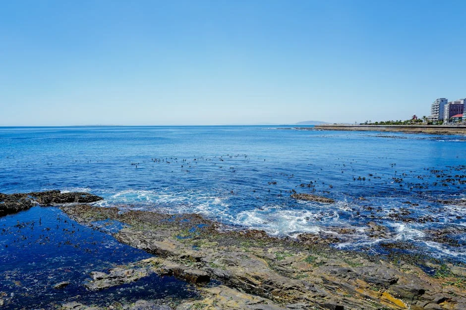 South Africa Launches Responsible Offshore Development — A New Era for the Environment — Agriculture Food