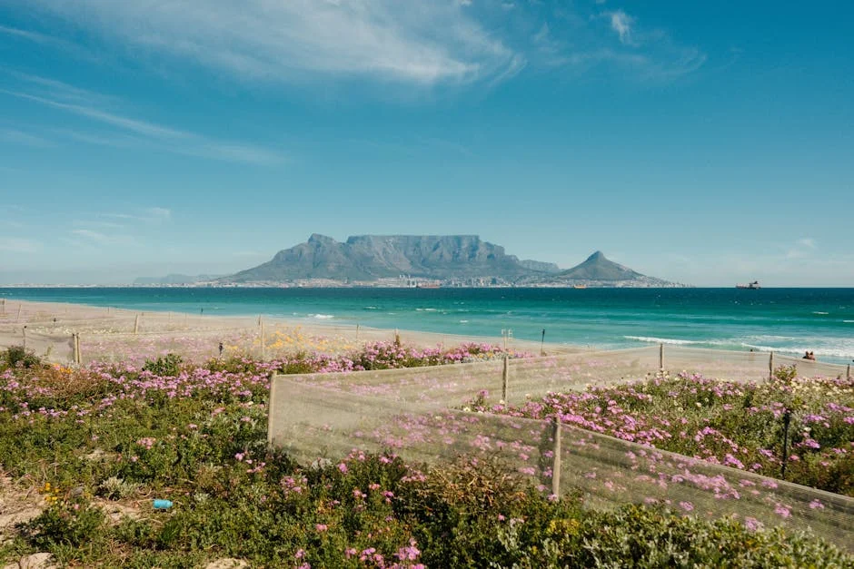 South Africa Secures Tariff-Free Rooibos Access for China