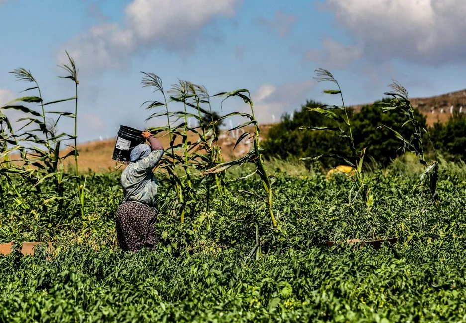 South Africa Signals Tougher but Fairer Immigration Enforcement in Regional Pivot