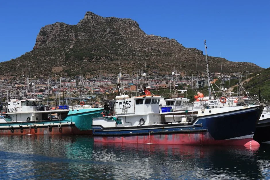 South Africa's Growth Slowdown Triggers Global Market Jitters — Education
