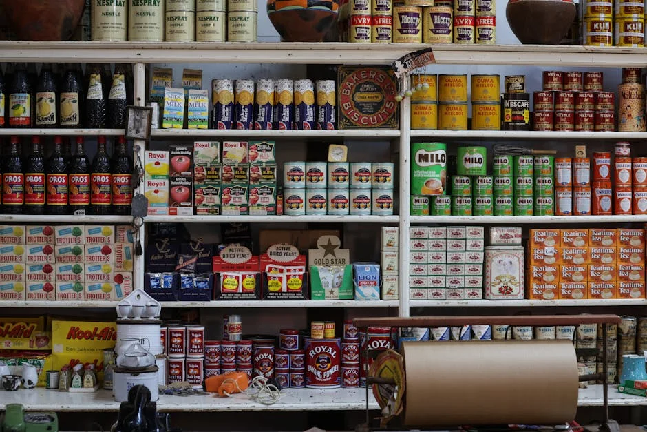 Swinney Slams SNP Grocery Price Cap as 'Potty Gimmick'