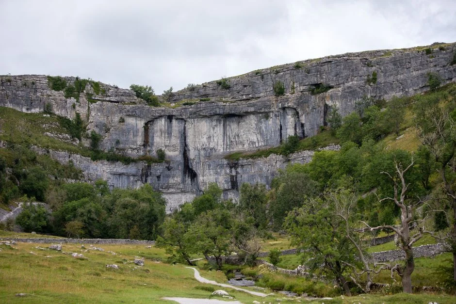 Thieves Steal Sycamore Gap Replacement Sapling from Hadrian's Wall Estate — Environment Nature