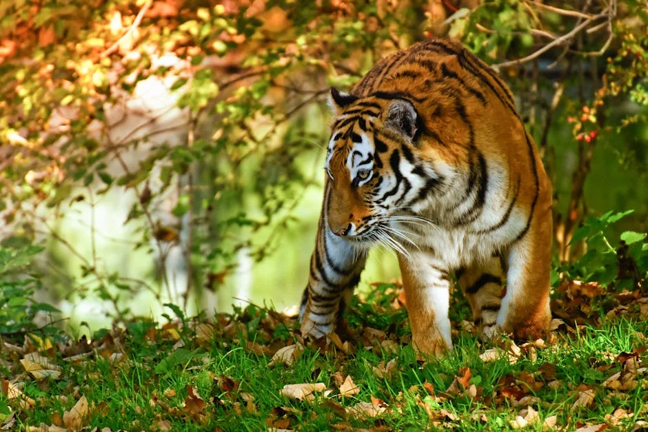 Tiger Brands Faces R25m Monthly Fuel Bill — South African Food Prices Set to Rise — Environment Nature